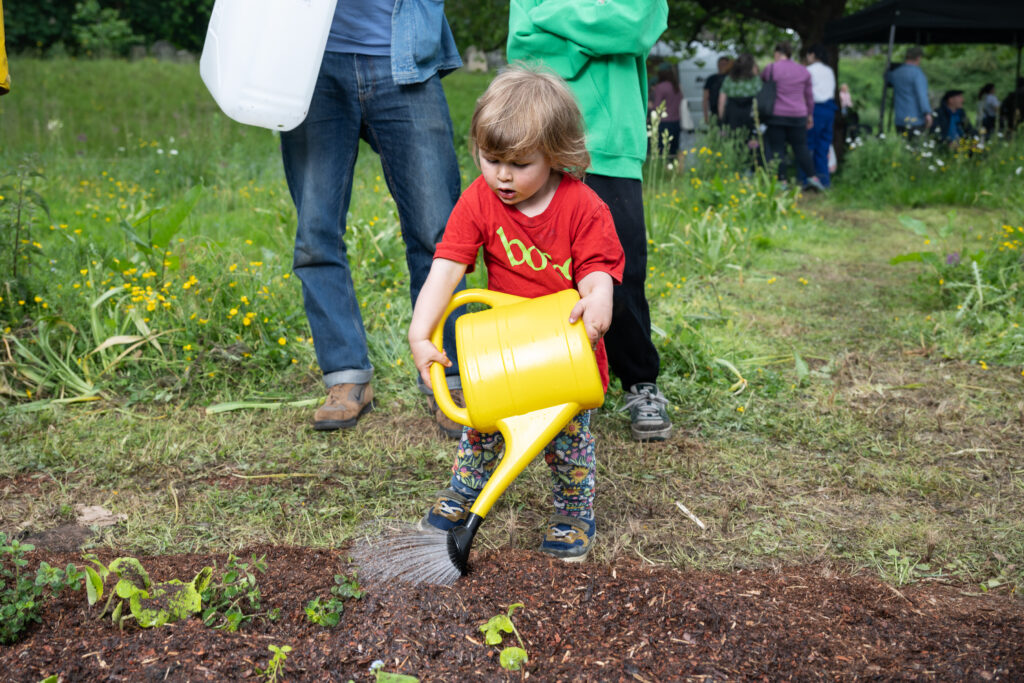 Child in red tshirt holding a yellow watering can and watering small plants.